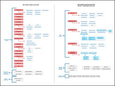 NEDA taxonomy analysis